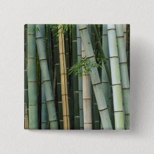 Bóton Quadrado 5.08cm Ásia, Japão, Kyoto, Arashiyama, Sagano, Bambu