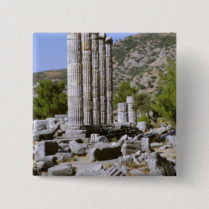 Bóton Quadrado 5.08cm Ásia, Oriente Médio, Turquia, Éfeso. Templo de