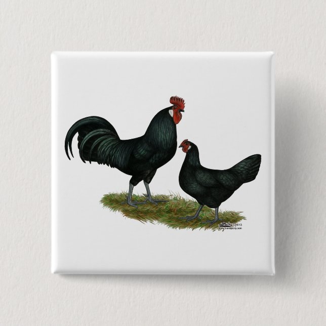 Bóton Quadrado 5.08cm Augsburger Chickens (Frente)
