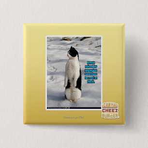 Bóton Quadrado 5.08cm Aumentado por pinguins