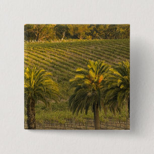 Bóton Quadrado 5.08cm Austrália, Austrália Meridional, Vale do Barossa,