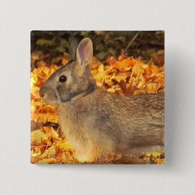Bóton Quadrado 5.08cm Autumn Bunny (Frente)