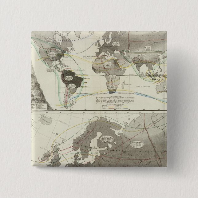 Bóton Quadrado 5.08cm Aves (Frente)