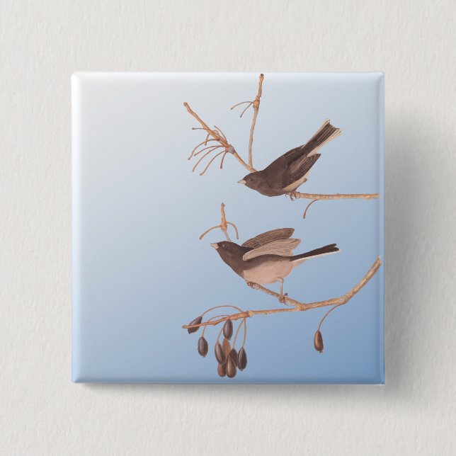 Bóton Quadrado 5.08cm Aves de Neve Junco Audubon de Olhos Negros na Rami (Frente)