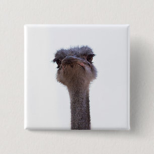 Bóton Quadrado 5.08cm avestruz