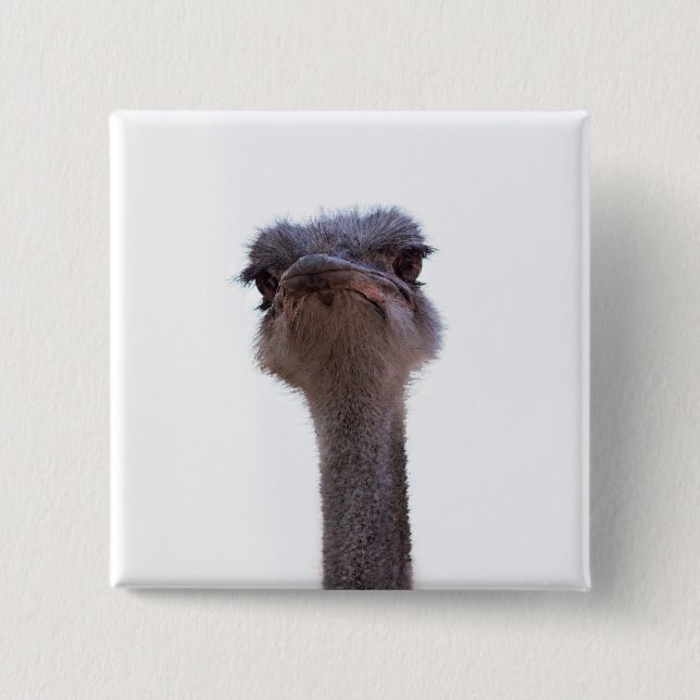 Bóton Quadrado 5.08cm avestruz (Frente)
