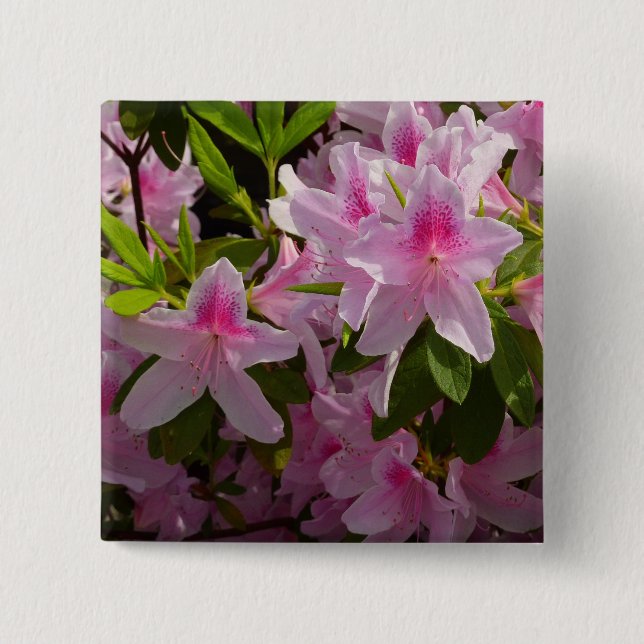 Bóton Quadrado 5.08cm Azalea Bush Primavera Floral rosa (Frente)