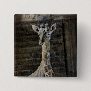 Bóton Quadrado 5.08cm Baby Giraffe