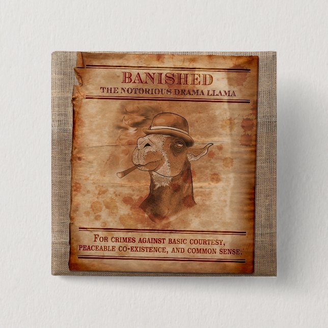 Bóton Quadrado 5.08cm Banish os lamas do drama - 2" botão quadrado (Frente)