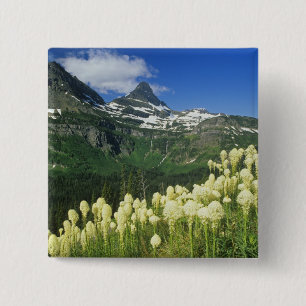 Bóton Quadrado 5.08cm Beargrass perto de Logan Pass no Parque Nacional G