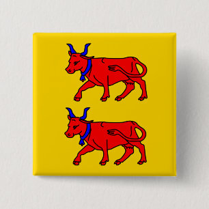 Bóton Quadrado 5.08cm Bearn, bandeira de France