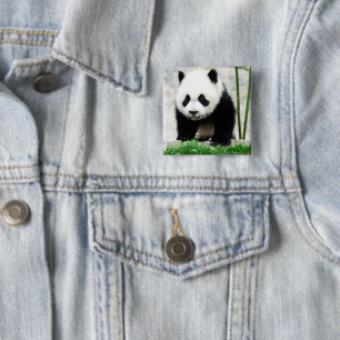 Bóton Quadrado 5.08cm Bebês Mais Pobres Bebê-Panda