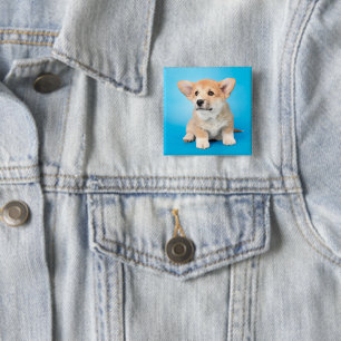 Bóton Quadrado 5.08cm Bebês Mais Pobres Corgi Puppy a azul