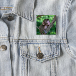 Bóton Quadrado 5.08cm Bebês Mais Pobres   Macaco Bebê