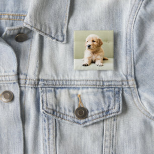 Bóton Quadrado 5.08cm Bebês Mais Pobres   Ouro Retriever Puppy