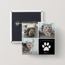 Bóton Quadrado 5.08cm Bela Memória de Gato Personalizada de Foto de Pet