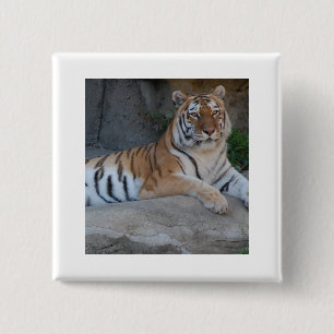 Bóton Quadrado 5.08cm Bengal Tigers