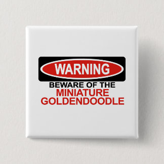 Bóton Quadrado 5.08cm Beware de Goldendoodle diminuto