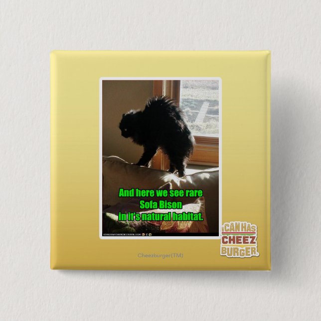 Bóton Quadrado 5.08cm Bisonte do sofá (Frente)
