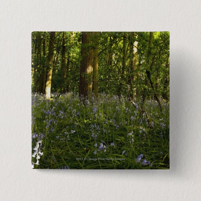 Bóton Quadrado 5.08cm Bluebells em uma floresta (Frente)