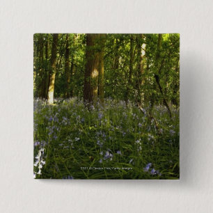 Bóton Quadrado 5.08cm Bluebells em uma floresta