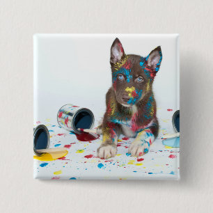 Bóton Quadrado 5.08cm Bobo Rouco Puppy entrou em Baldes Paint