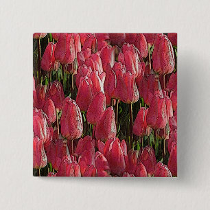 Bóton Quadrado 5.08cm Bonito Tulipas Rosa