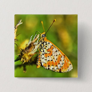 Bóton Quadrado 5.08cm Borboleta Branca e Laranja-Frente