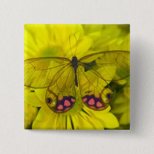 Bóton Quadrado 5.08cm Borboleta no Amarelo
