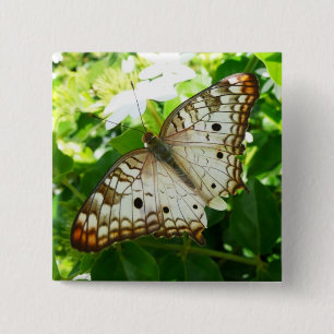 Bóton Quadrado 5.08cm Borboleta no Jasmin Flor Tropical Fotografia da Na