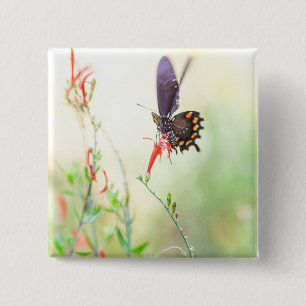 Bóton Quadrado 5.08cm Borboleta-pípebra à luz da tarde