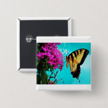 Borboleta Swallowtail de Tigre Oriental #2