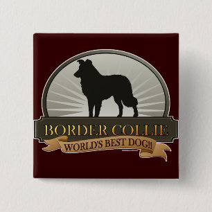 Bóton Quadrado 5.08cm Border collie