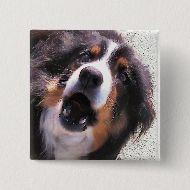 BÓTON QUADRADO 5.08CM BORDER COLLIE (Frente)