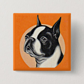 Bóton Quadrado 5.08cm Boston terrier