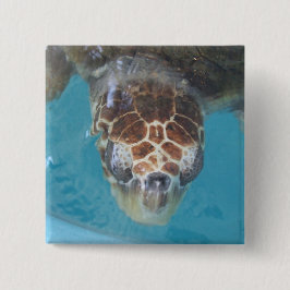 Bóton Quadrado 5.08cm Botão