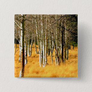 Bóton Quadrado 5.08cm botão aspen woods