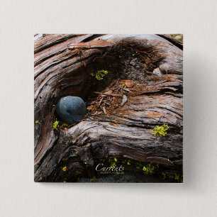 Bóton Quadrado 5.08cm Botão Atual