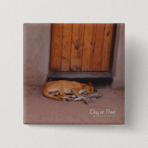 Bóton Quadrado 5.08cm Botão Cachorro na Praça de Repouso