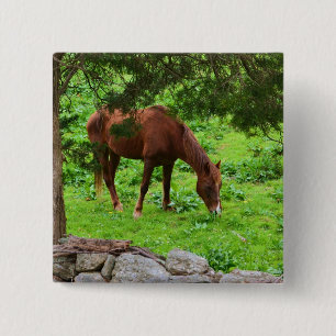 Bóton Quadrado 5.08cm Botão Cavalo