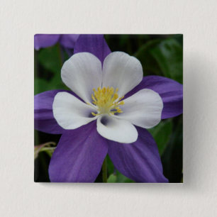 Bóton Quadrado 5.08cm Botão Columbine Purple e White Flower