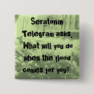 Bóton Quadrado 5.08cm Botão da inundação