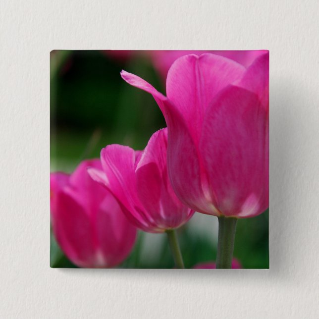 Bóton Quadrado 5.08cm Botão das tulipas (Frente)