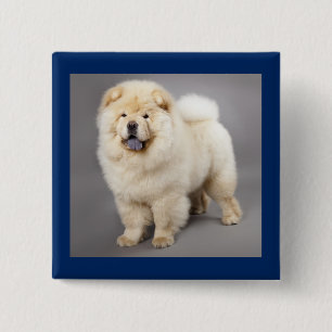 Bóton Quadrado 5.08cm Botão de Amor ao Cachorro Chow Chow
