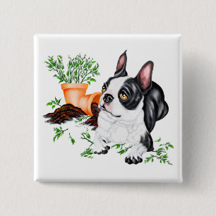 Bóton Quadrado 5.08cm Botão de Boston Terrier Malandro