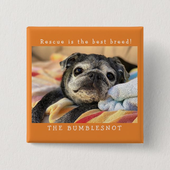 Bóton Quadrado 5.08cm Botão de Bumblesnot: O salvamento é a melhor raça! (Frente)