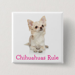 Bóton Quadrado 5.08cm Botão de Chihuahuas Regra Pin
