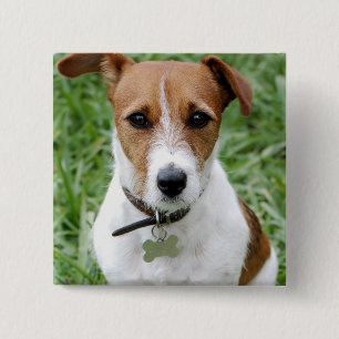 Bóton Quadrado 5.08cm Botão de Jack Russell Terrier