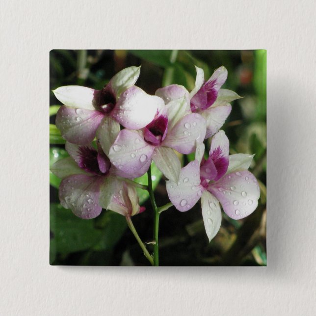 Bóton Quadrado 5.08cm Botão de orquídeas (Frente)
