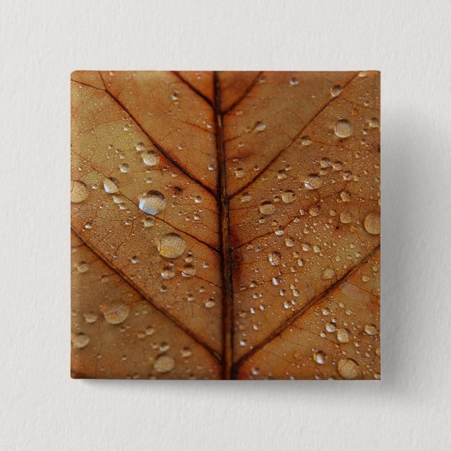 Bóton Quadrado 5.08cm Botão de outono (Frente)